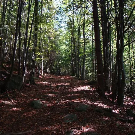 Josef Seitz Апартаменты Байериш-Айзенштайн