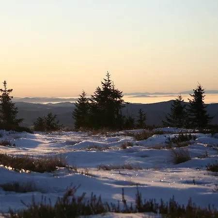 Josef Seitz * Байериш-Айзенштайн