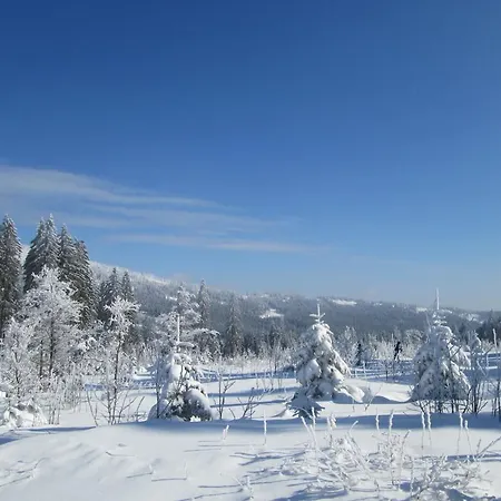 Апартаменты Josef Seitz Байериш-Айзенштайн