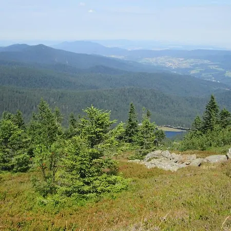 Josef Seitz * Bayerisch Eisenstein