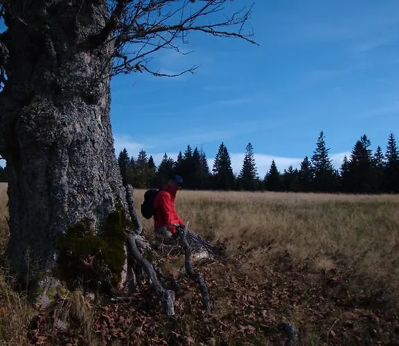 Josef Seitz شقة بايريش أيزنشتاين